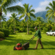 Maui Landscape Maintenance Services: Keeping Paradise Perfect Year-Round